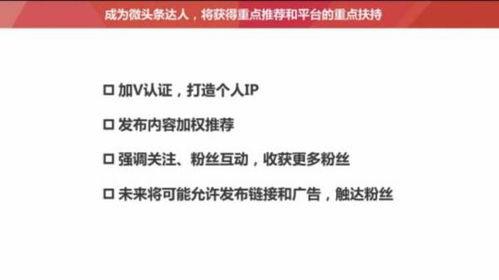 头条文章如何成为推荐,轻松成为内容创作者的“爆款制造机”