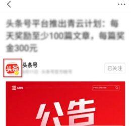 头条可以引导私信吗,巧妙引导私信，提升用户互动率